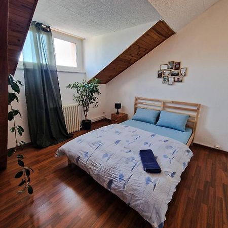 Nice Room 4 Minutes From Basel Shared Apartment 圣路易 外观 照片