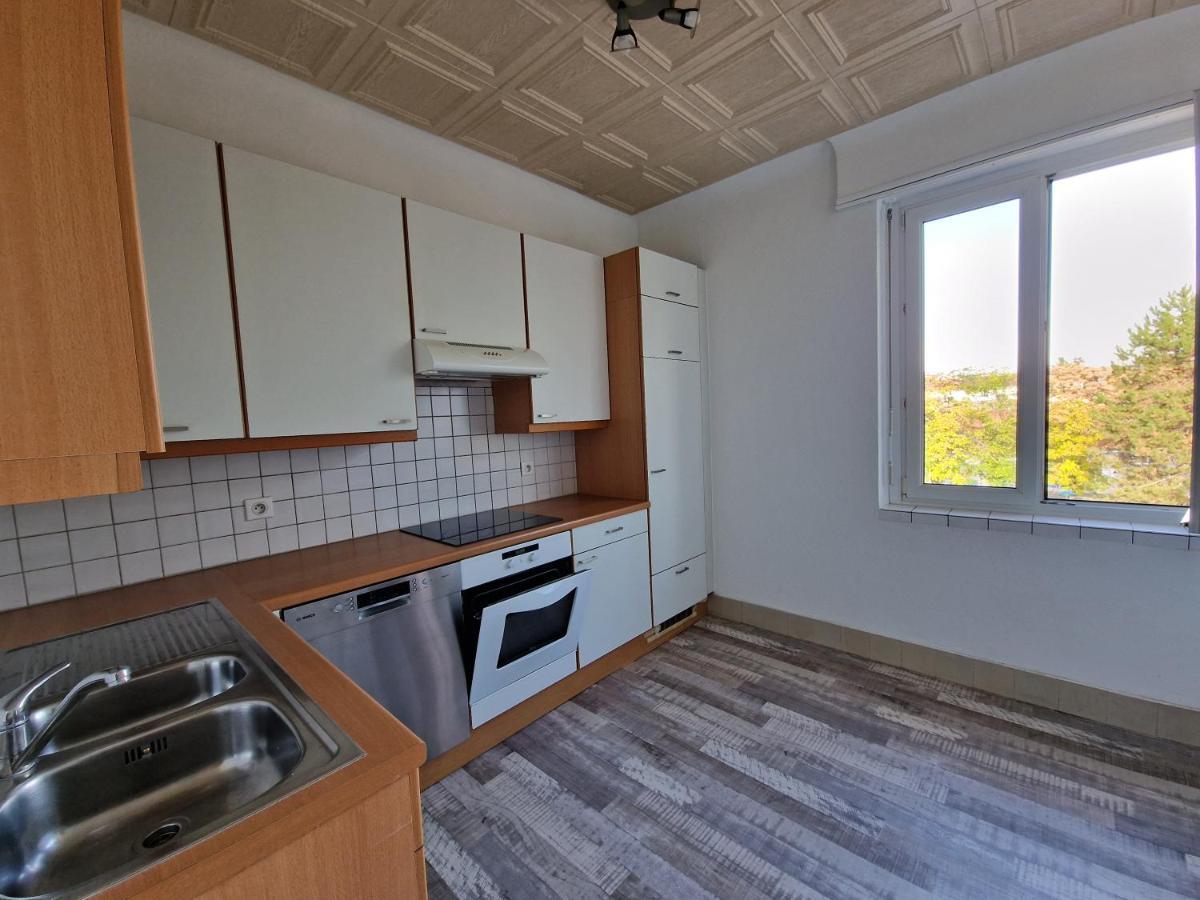 Nice Room 4 Minutes From Basel Shared Apartment 圣路易 外观 照片