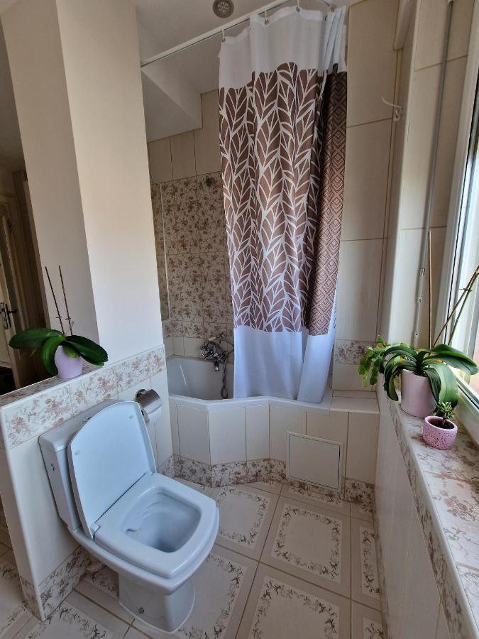 Nice Room 4 Minutes From Basel Shared Apartment 圣路易 外观 照片