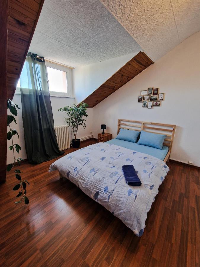 Nice Room 4 Minutes From Basel Shared Apartment 圣路易 外观 照片