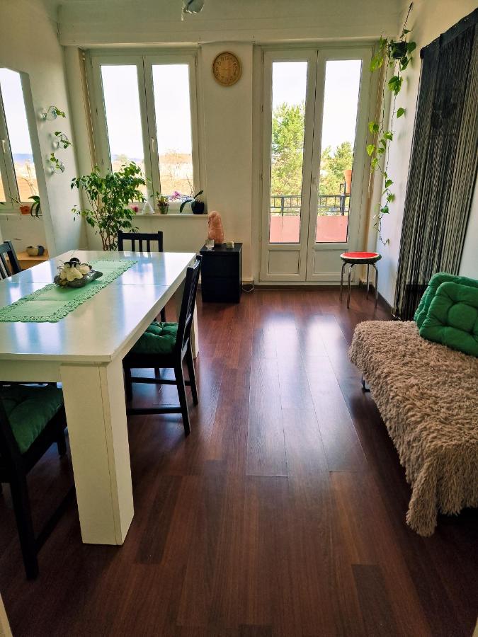 Nice Room 4 Minutes From Basel Shared Apartment 圣路易 外观 照片