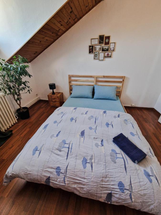 Nice Room 4 Minutes From Basel Shared Apartment 圣路易 外观 照片