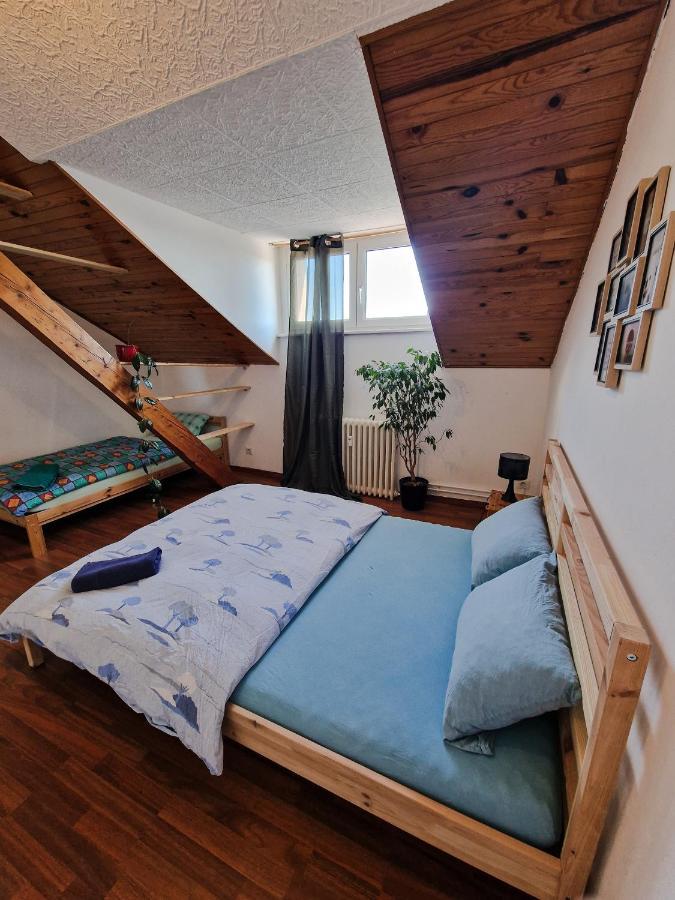 Nice Room 4 Minutes From Basel Shared Apartment 圣路易 外观 照片