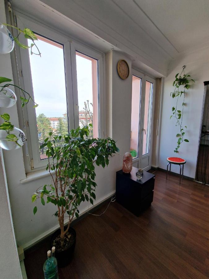 Nice Room 4 Minutes From Basel Shared Apartment 圣路易 外观 照片